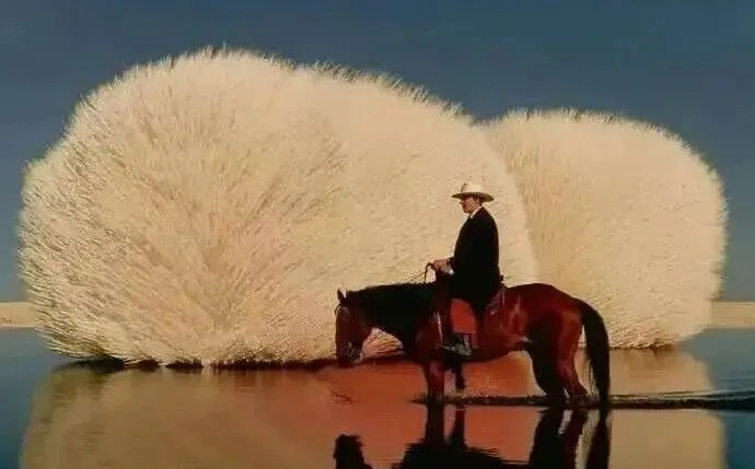 骑马的人物与水中倒影。